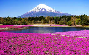 Gunung Fuji Jepang, Ikon Pendakian dan Budaya Negeri Sakura