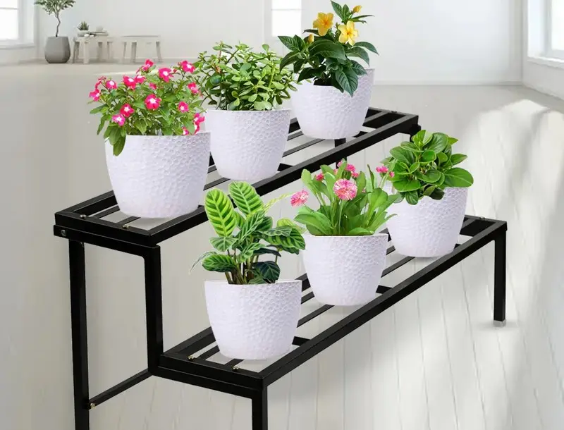 Trik Menata Koleksi Tanaman Hias Di Rak Besi Susun Dekat Jendela Ruang Tamu